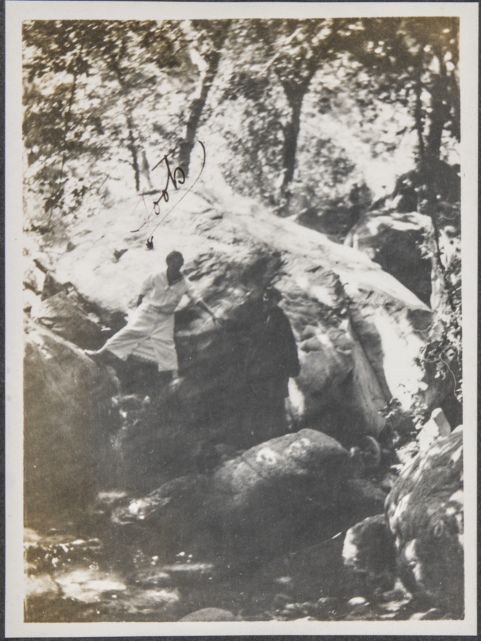 Early Family Photograph Album