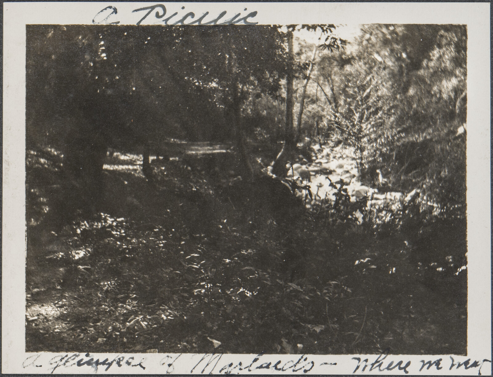 Early Family Photograph Album