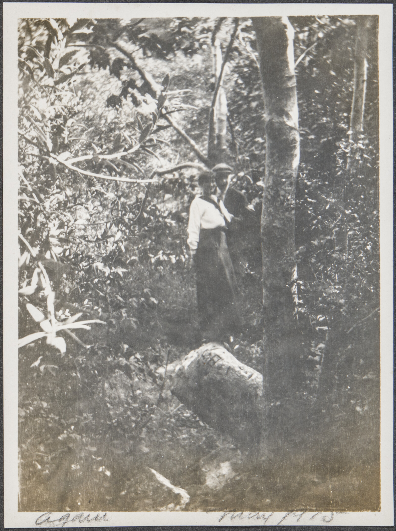 Early Family Photograph Album