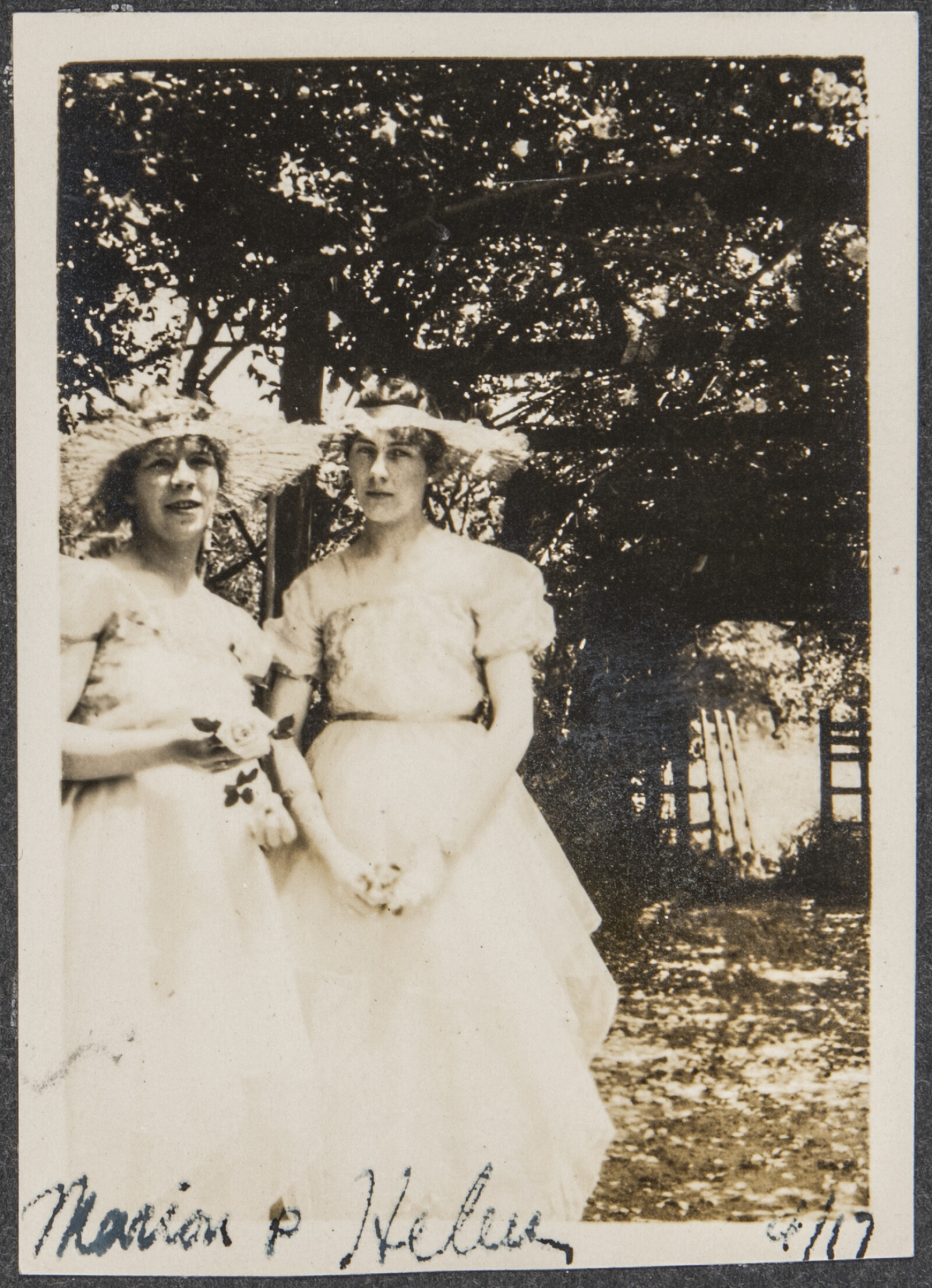 Early Family Photograph Album