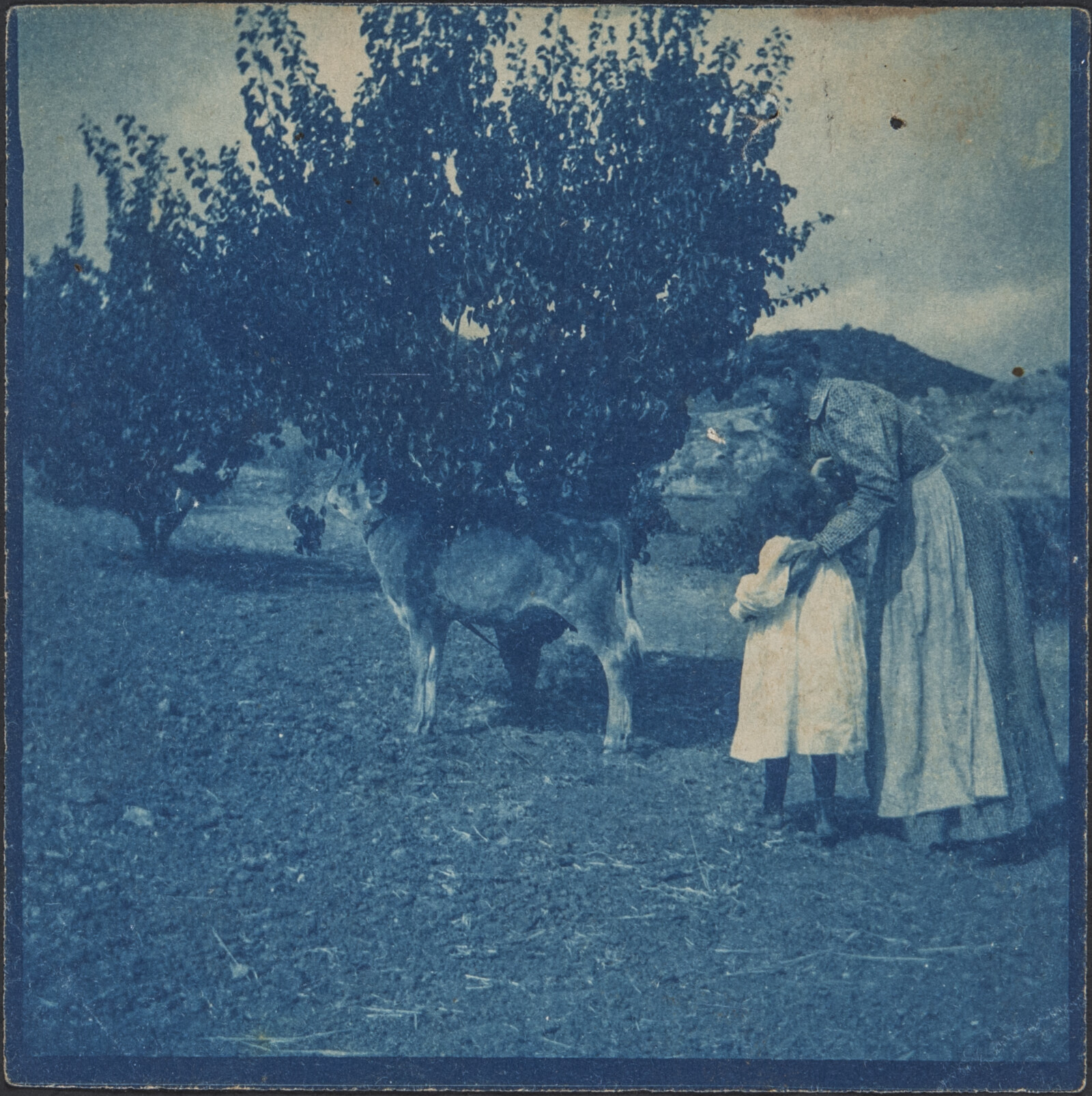 Early Family Photographs