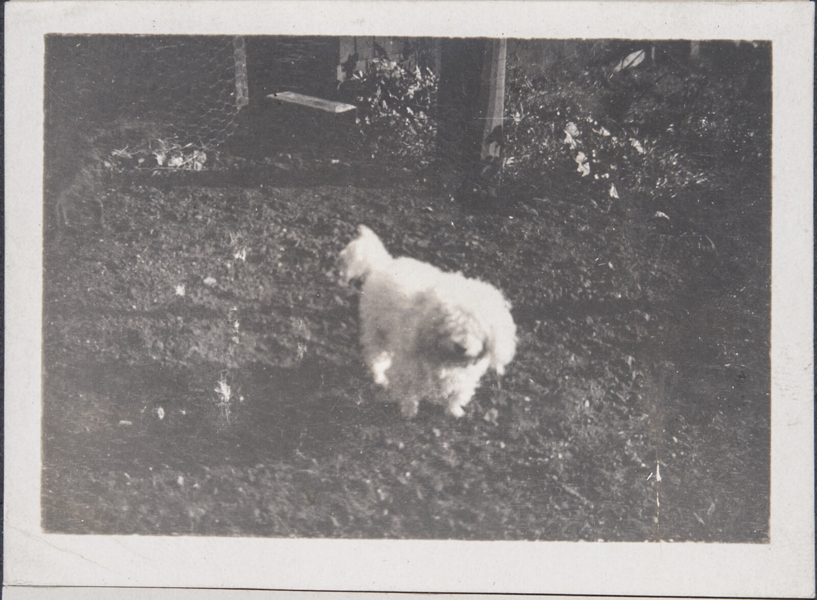 Early Family Photographs