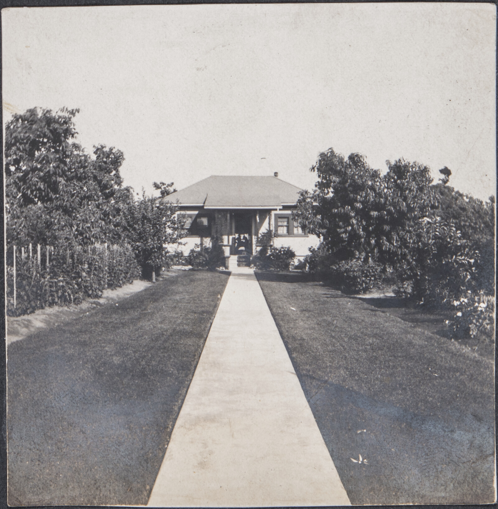 Early Family Photographs