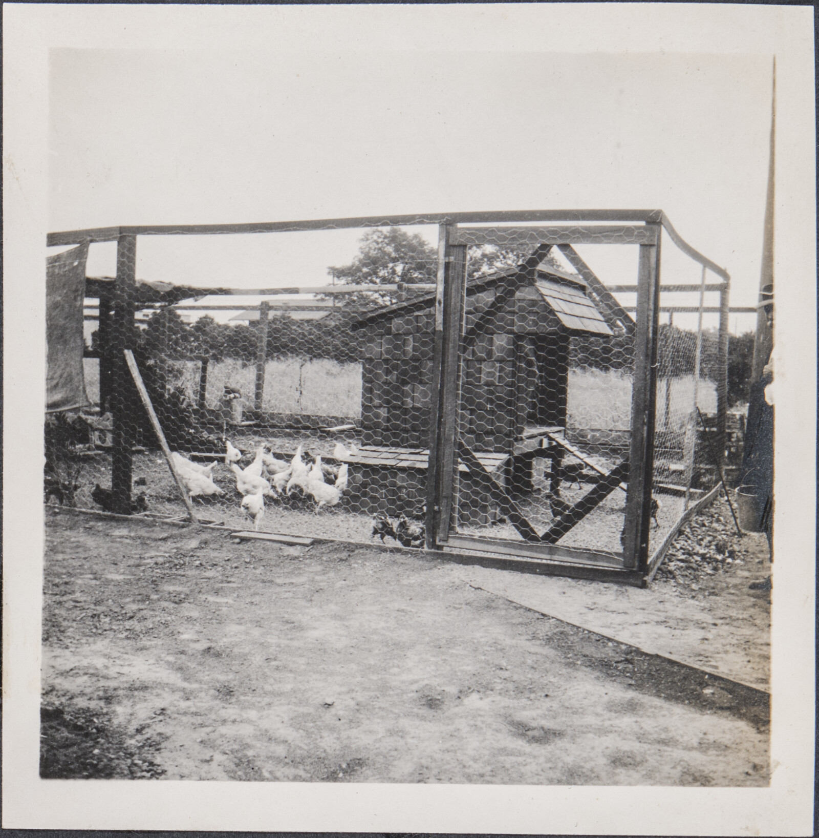 Early Family Photographs