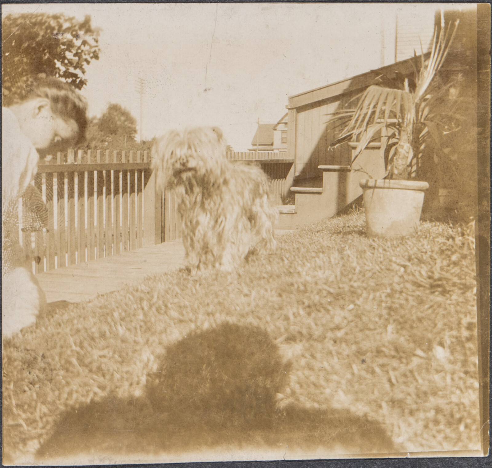 Early Family Photographs