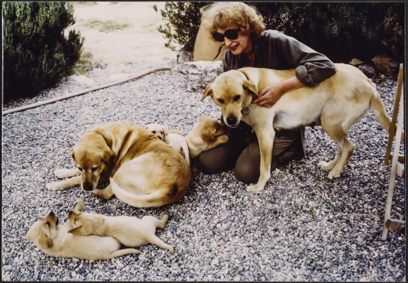 Bill and Roselle DAVENPORT (3 of 7), 1980-1982