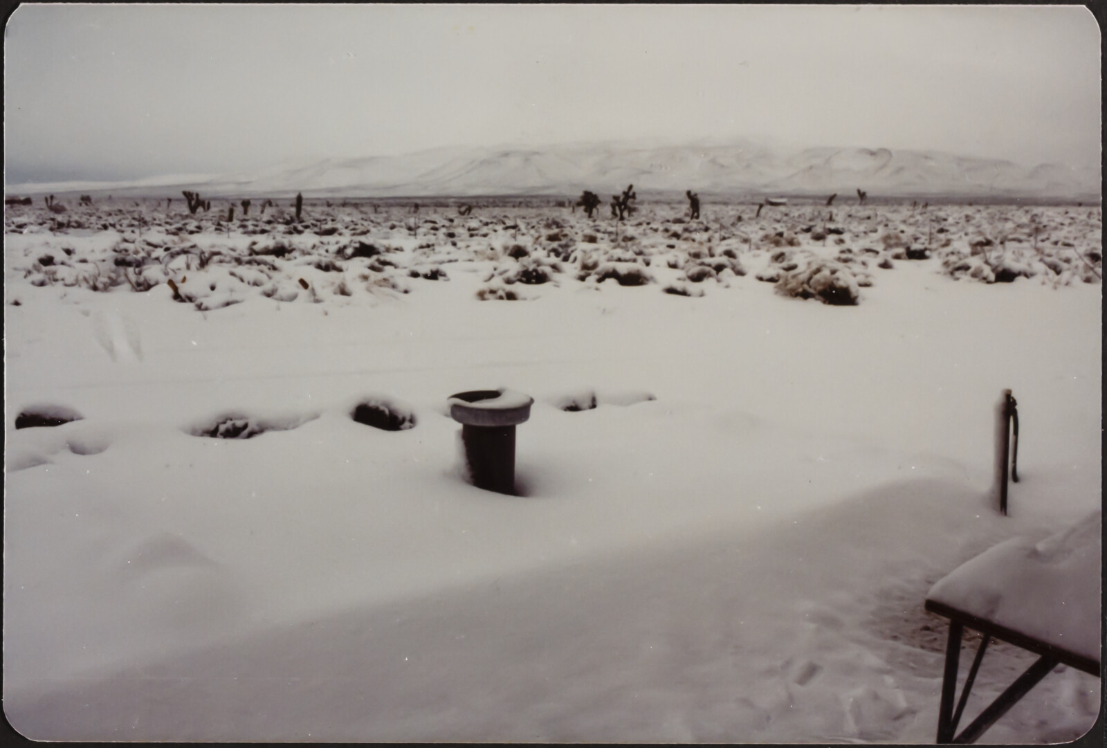 Jim DOOLIN, 1978, 1983, 1987, 1993