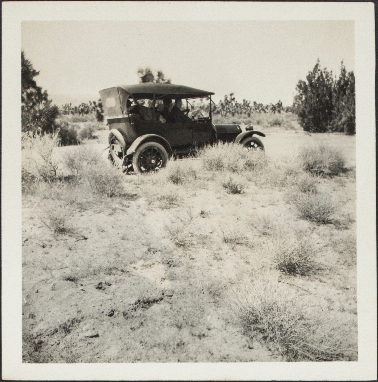 Diebenkorn Family photographs