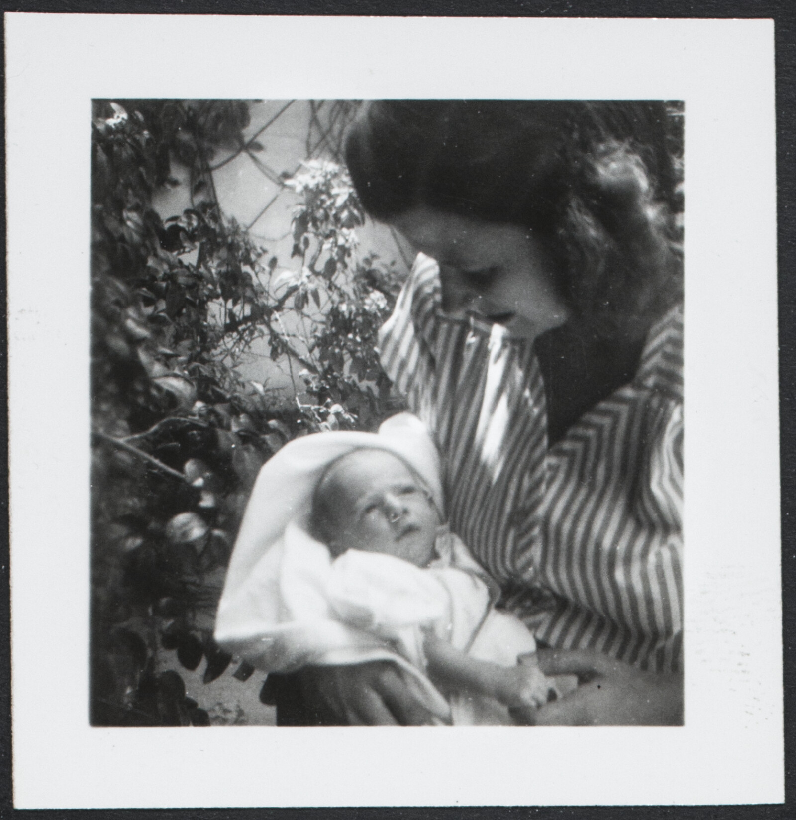 Richard and Phyllis Diebenkorn Family Photographs