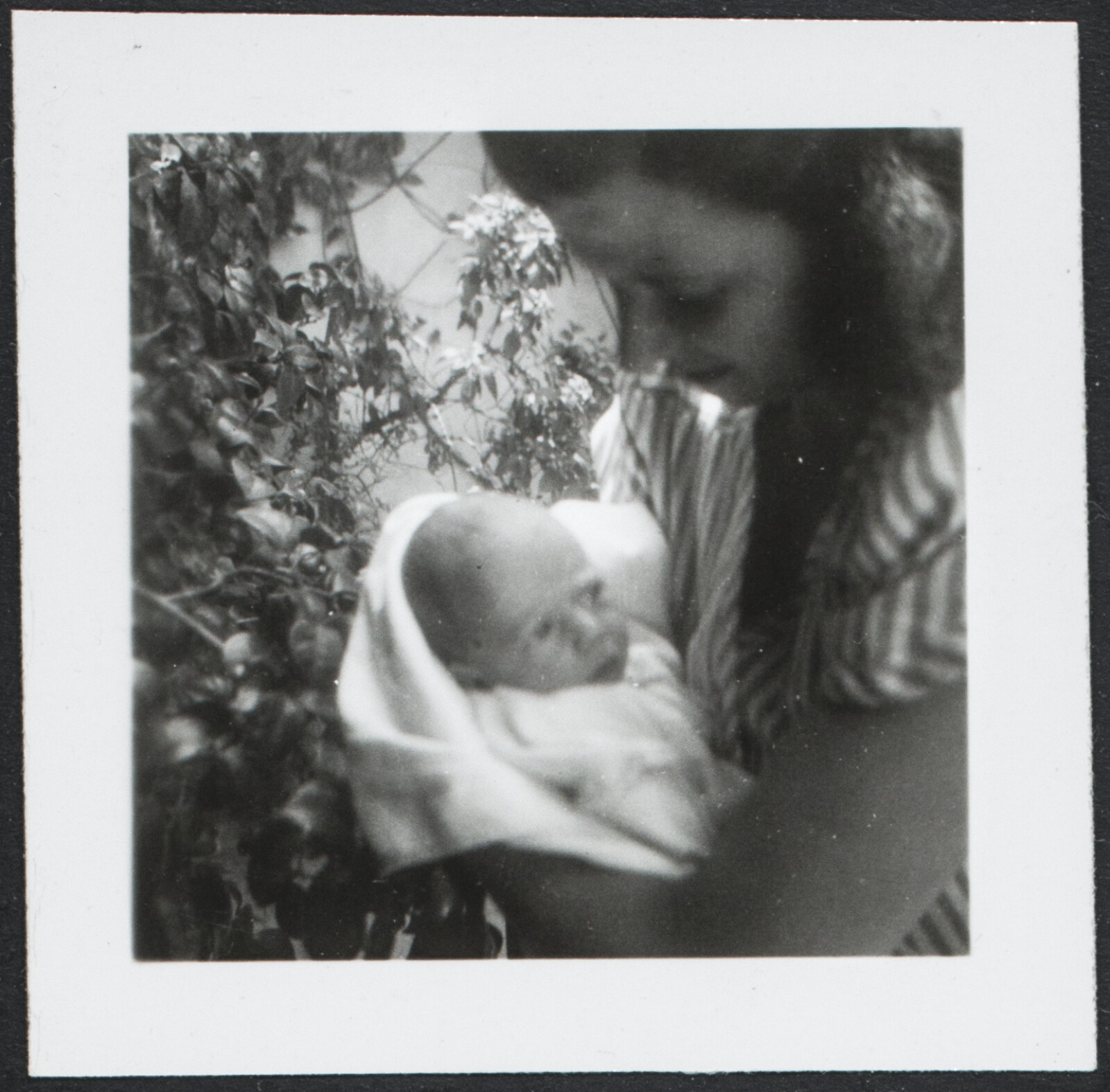 Richard and Phyllis Diebenkorn Family Photographs