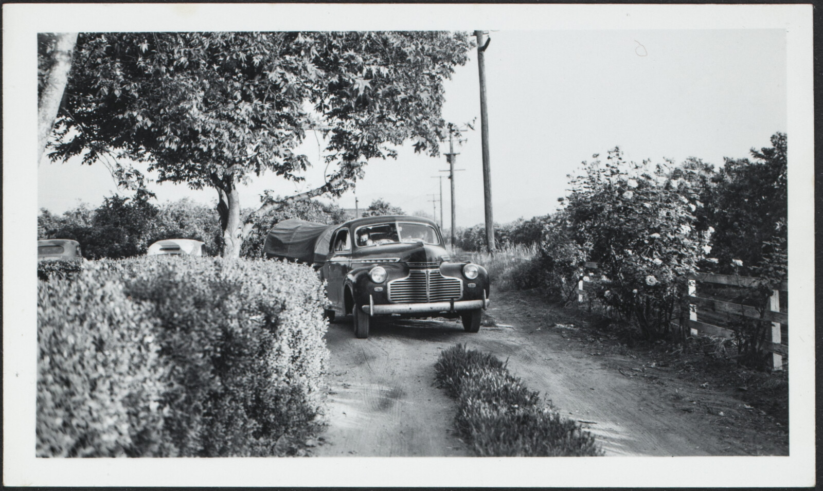 Richard and Phyllis Diebenkorn Family Photographs