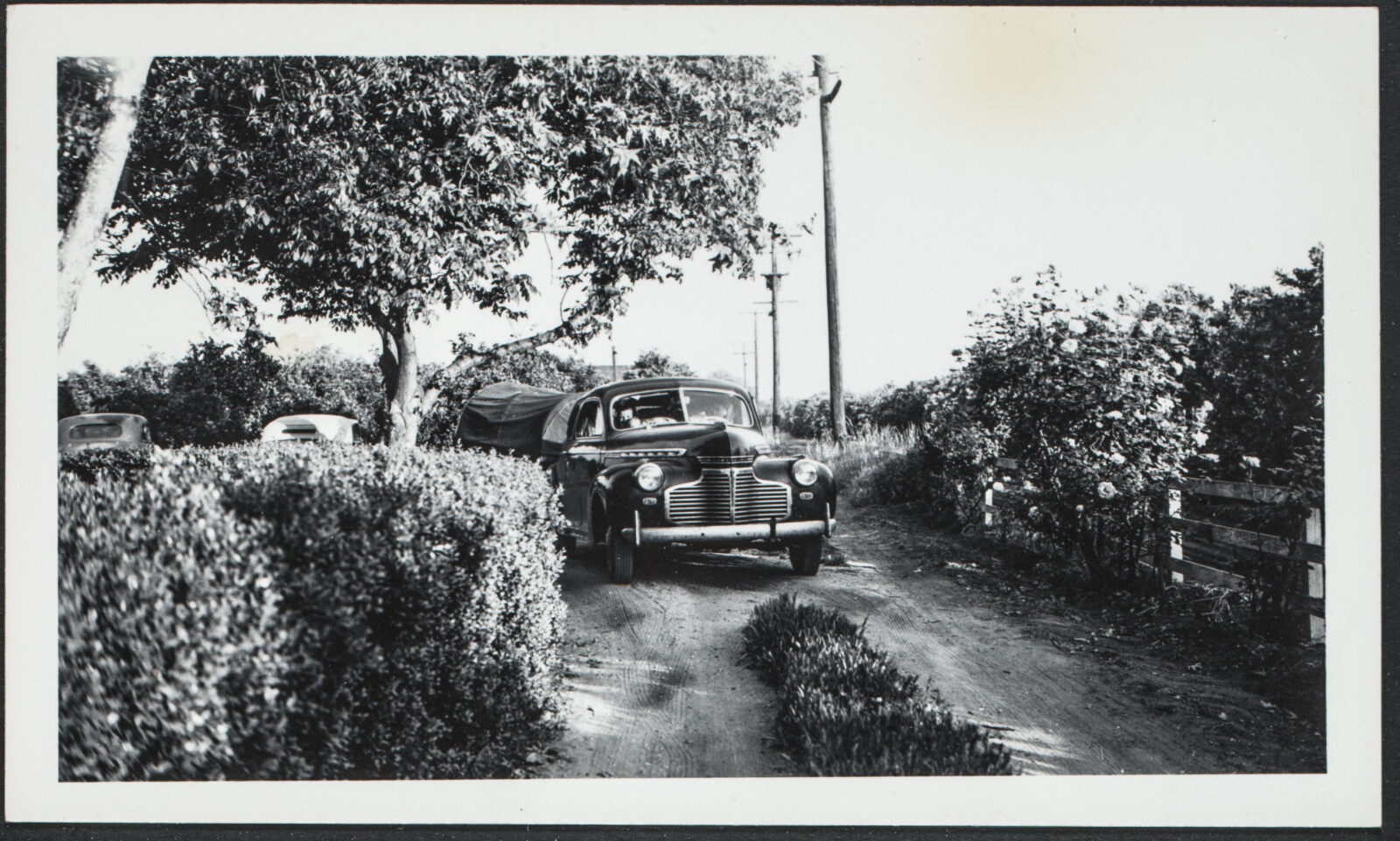 Richard and Phyllis Diebenkorn Family Photographs