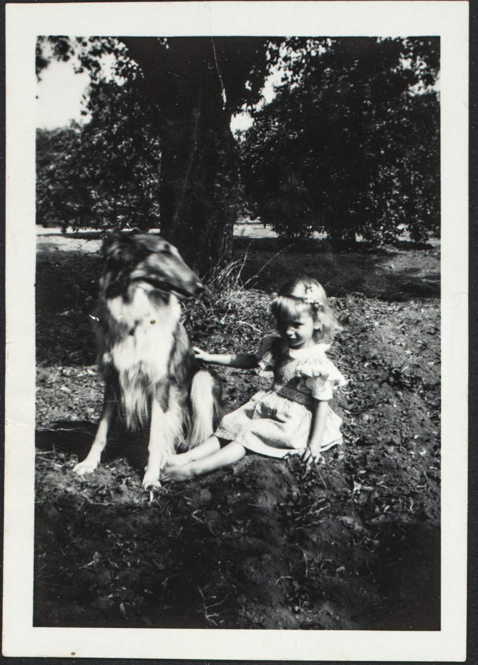 Richard and Phyllis Diebenkorn Family Photographs