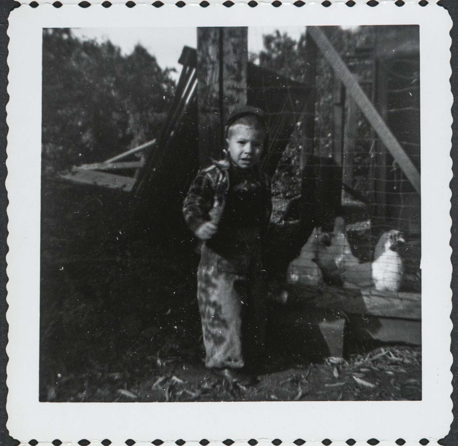 Richard and Phyllis Diebenkorn Family Photographs