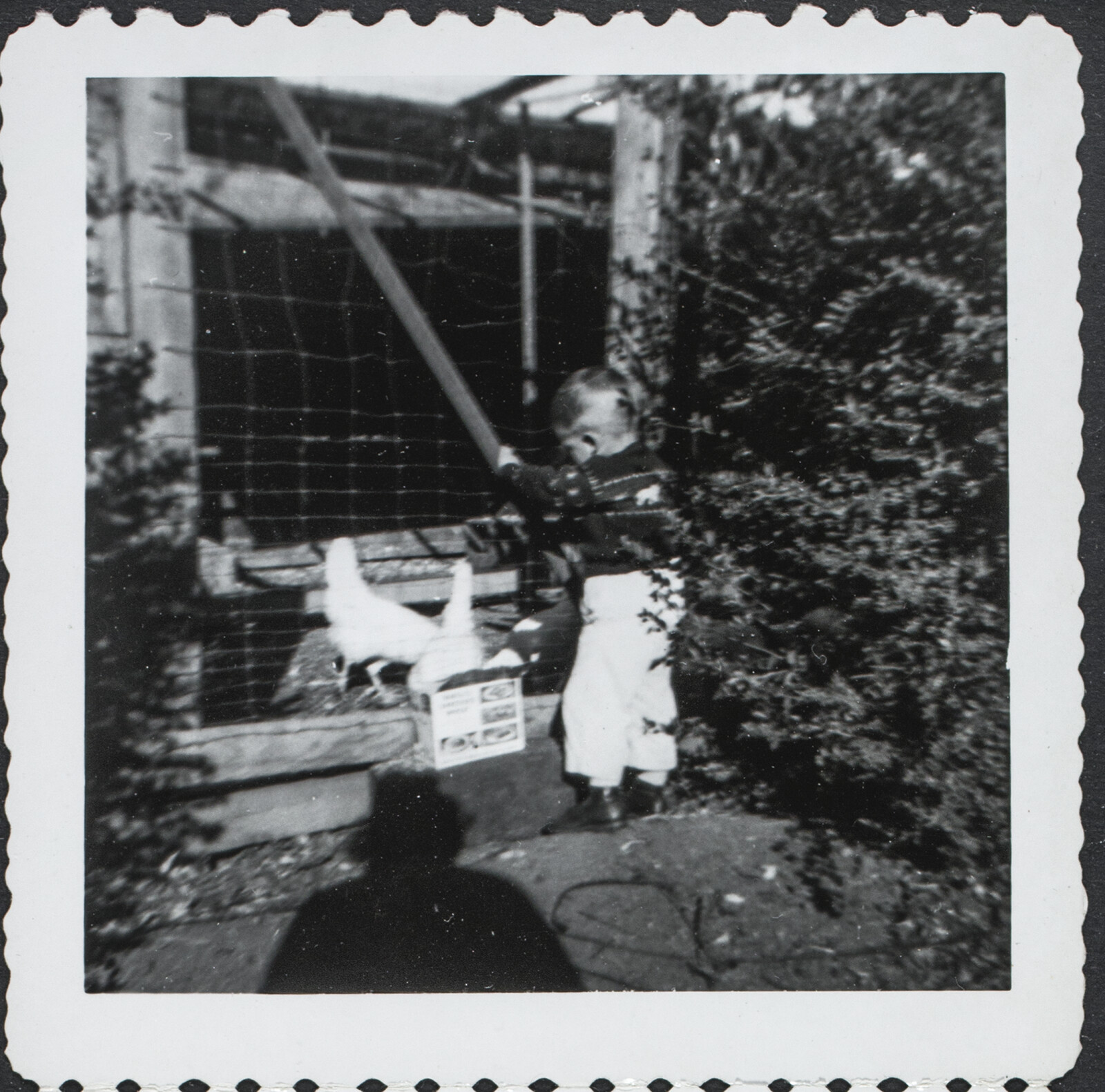 Richard and Phyllis Diebenkorn Family Photographs