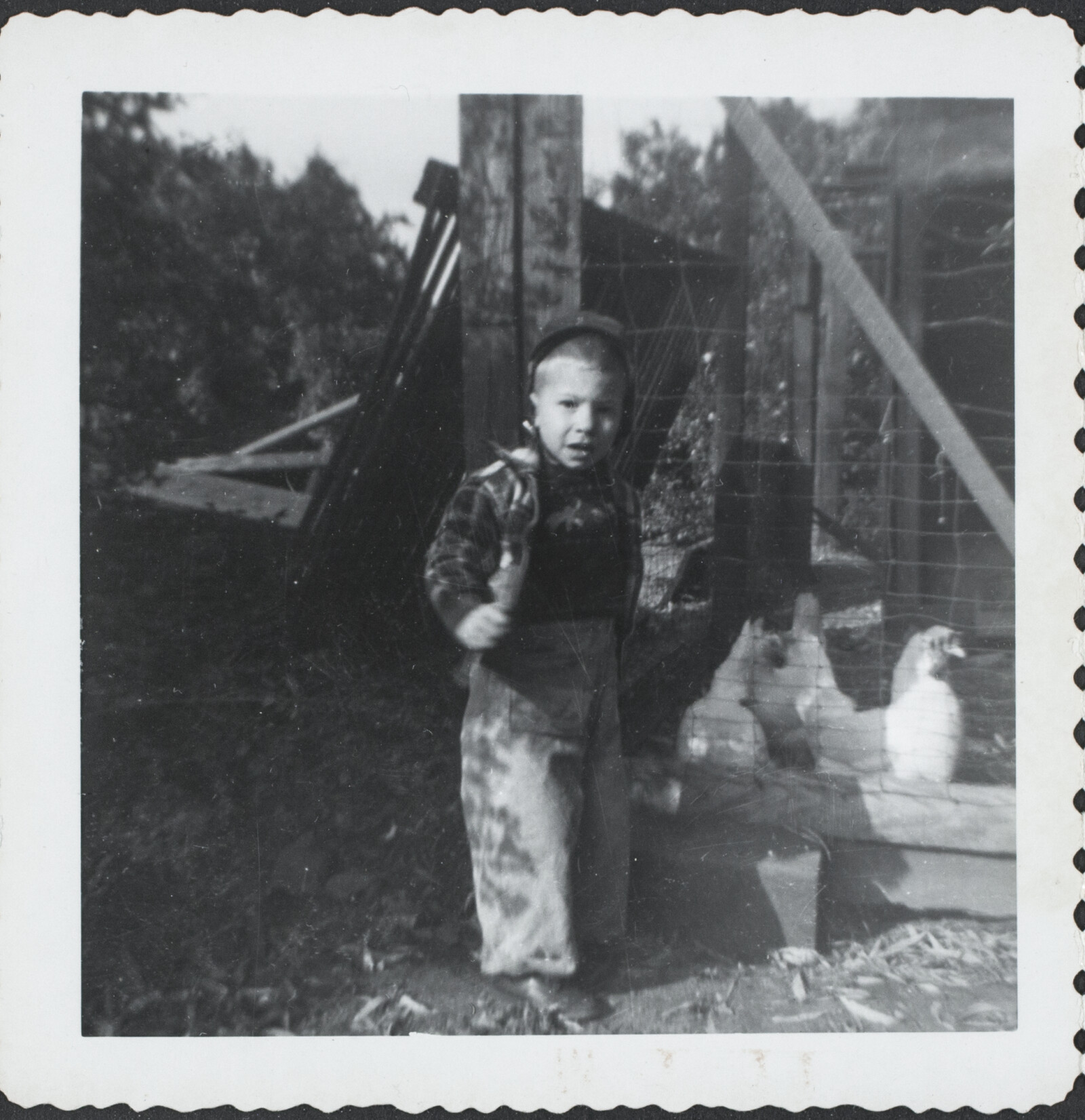 Richard and Phyllis Diebenkorn Family Photographs