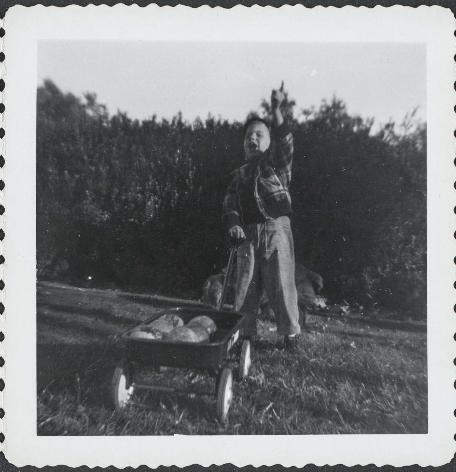 Richard and Phyllis Diebenkorn Family Photographs