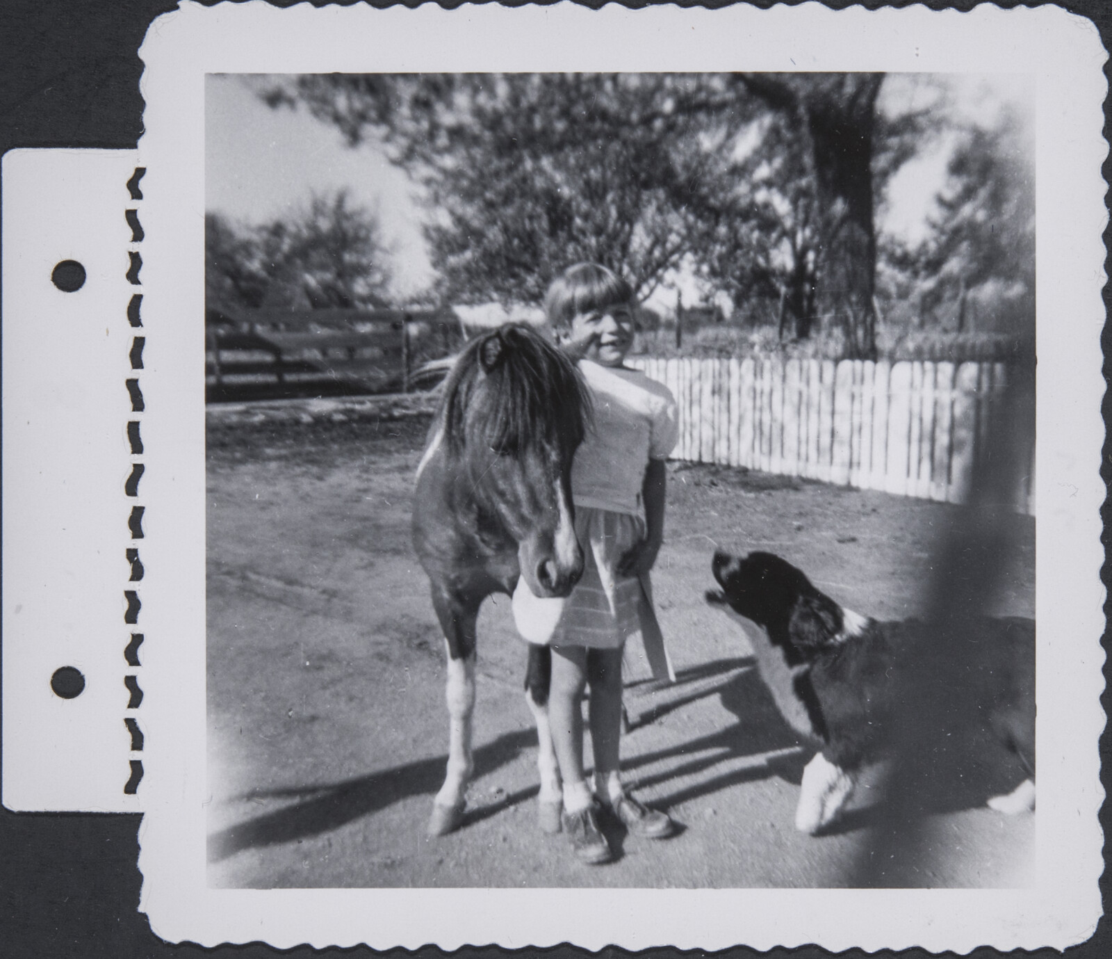 Albuquerque Family Photographs