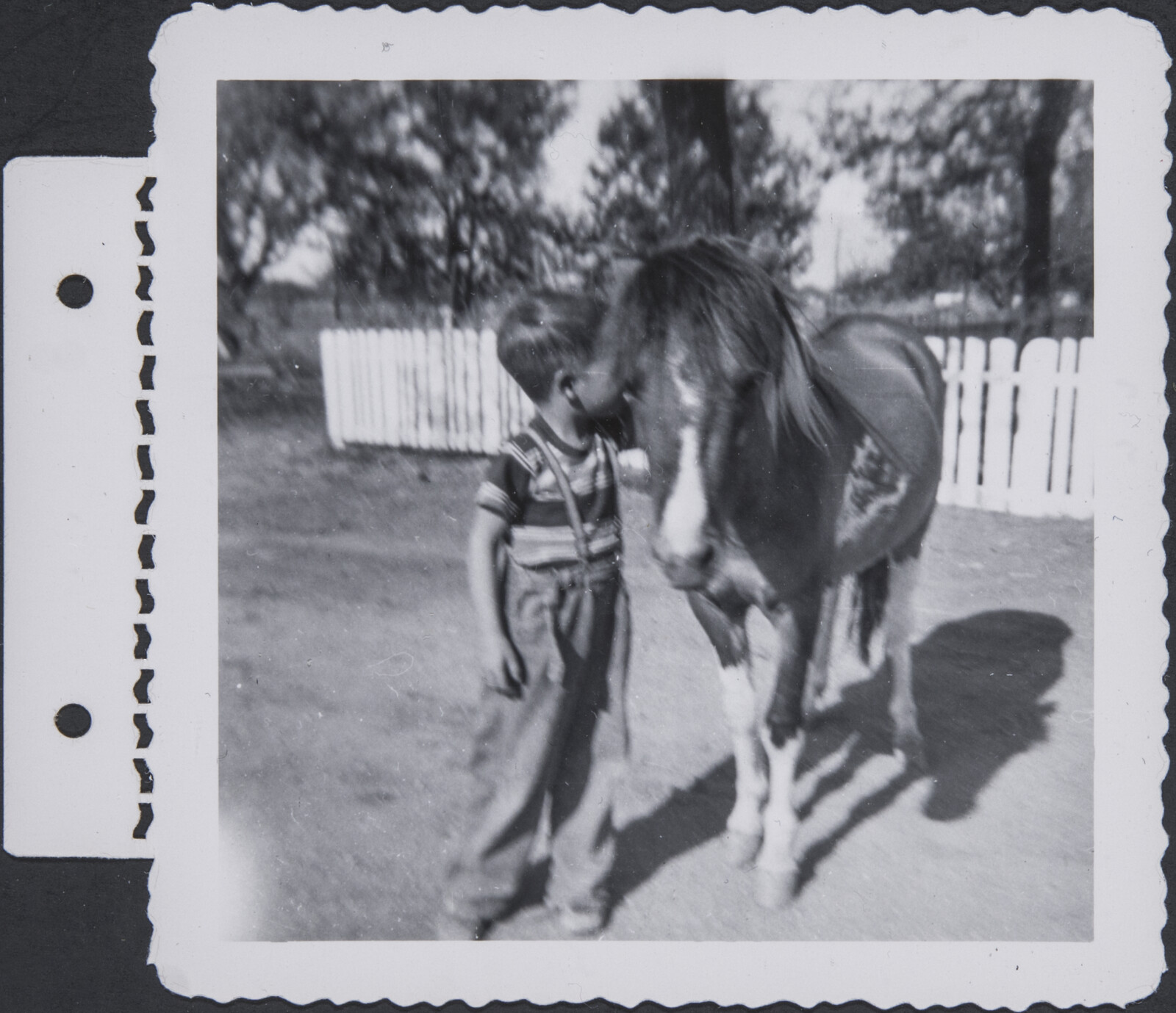 Albuquerque Family Photographs