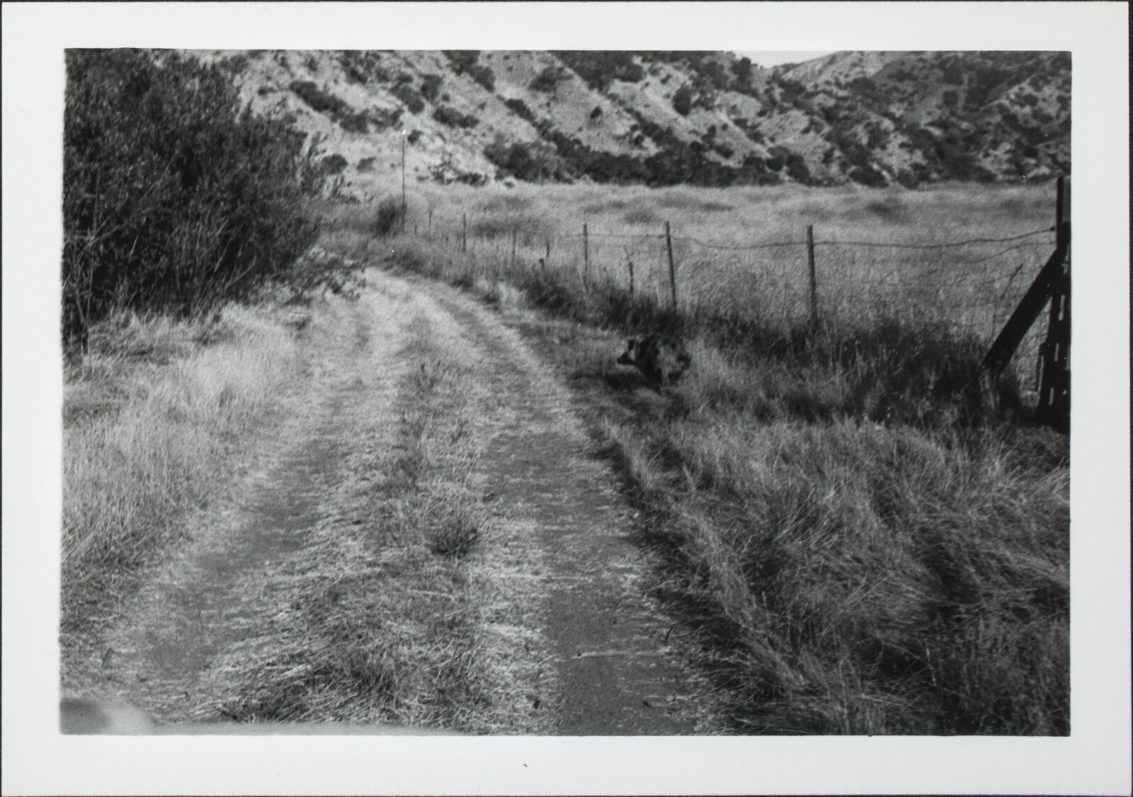 Santa Cruz Island Family, Travel and Lanscape Photographs