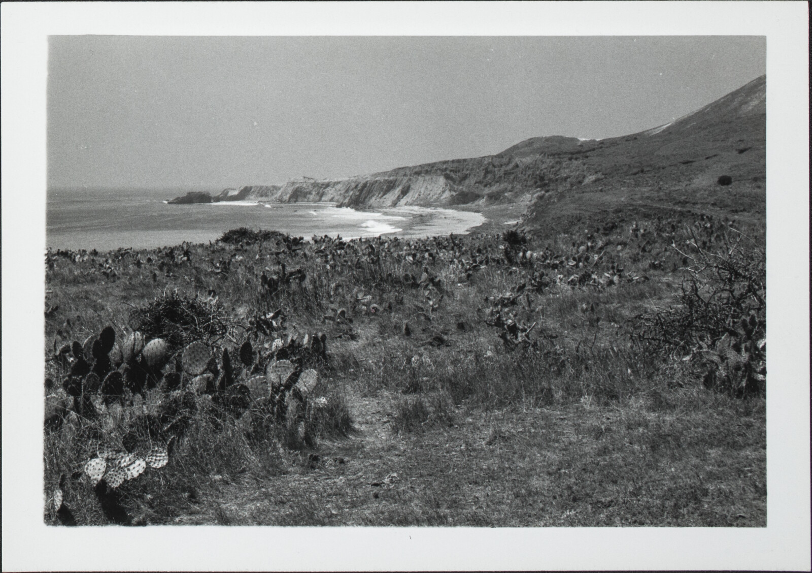 Santa Cruz Island Family, Travel and Lanscape Photographs