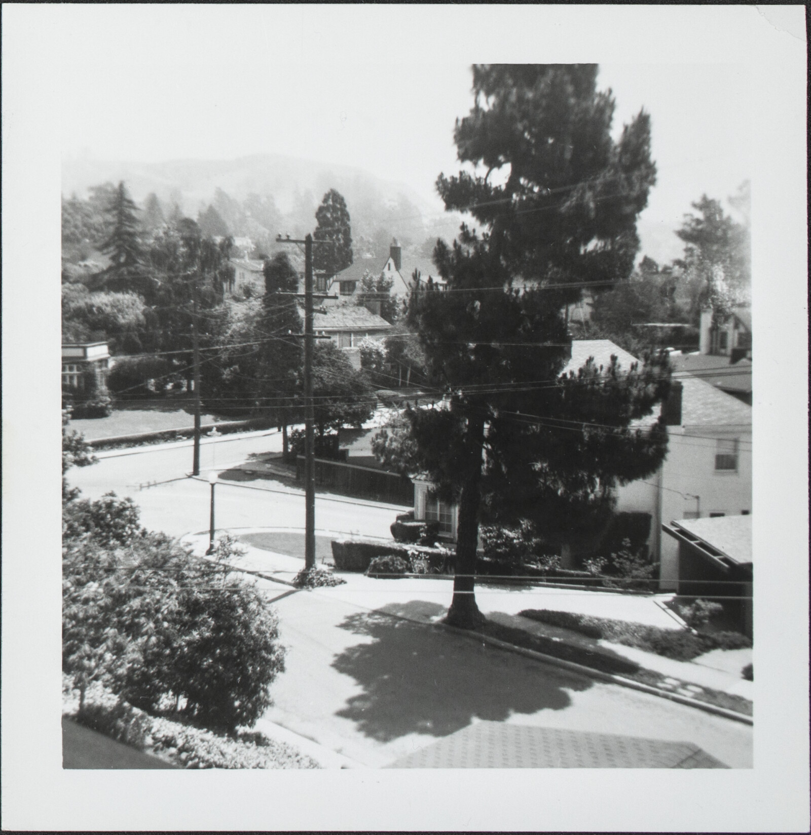 Berkeley Family Photographs and Berkeley and Oakland Street Views