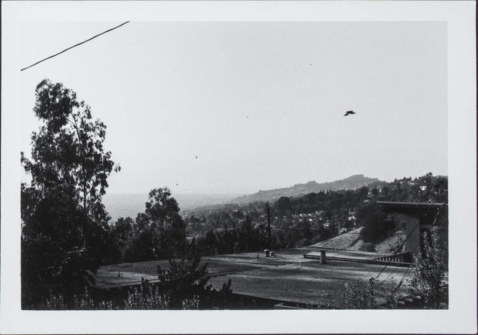 Berkeley Family Photographs and Berkeley and Oakland Street Views