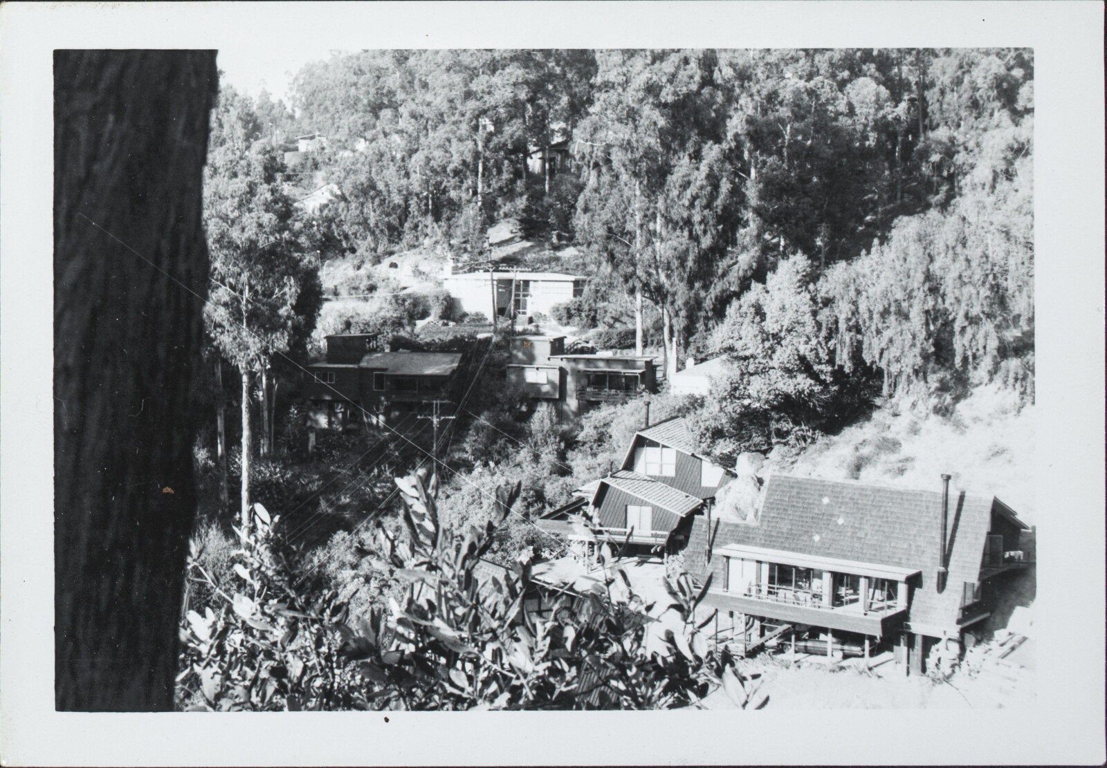 Berkeley Family Photographs and Berkeley and Oakland Street Views