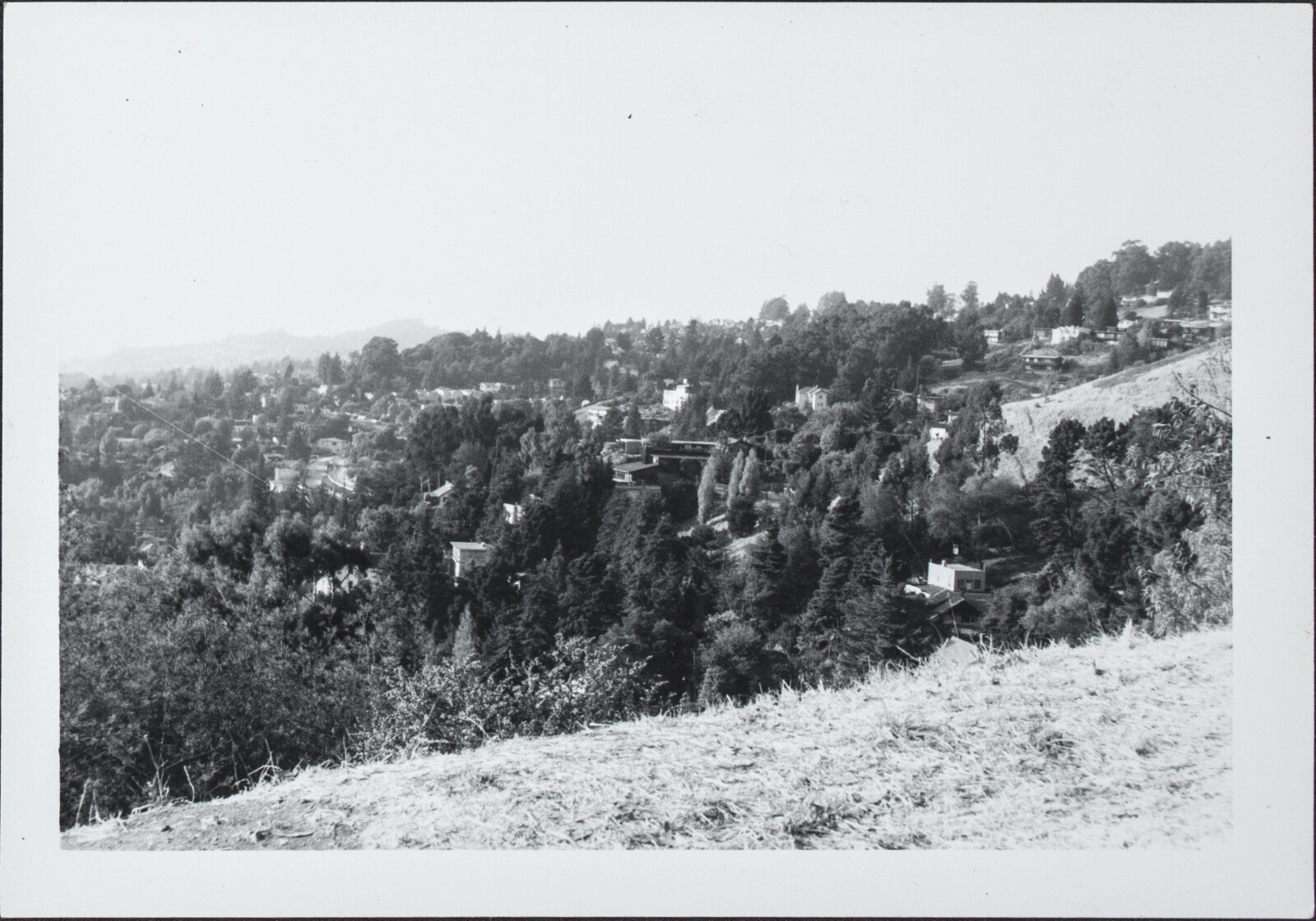 Berkeley Family Photographs and Berkeley and Oakland Street Views