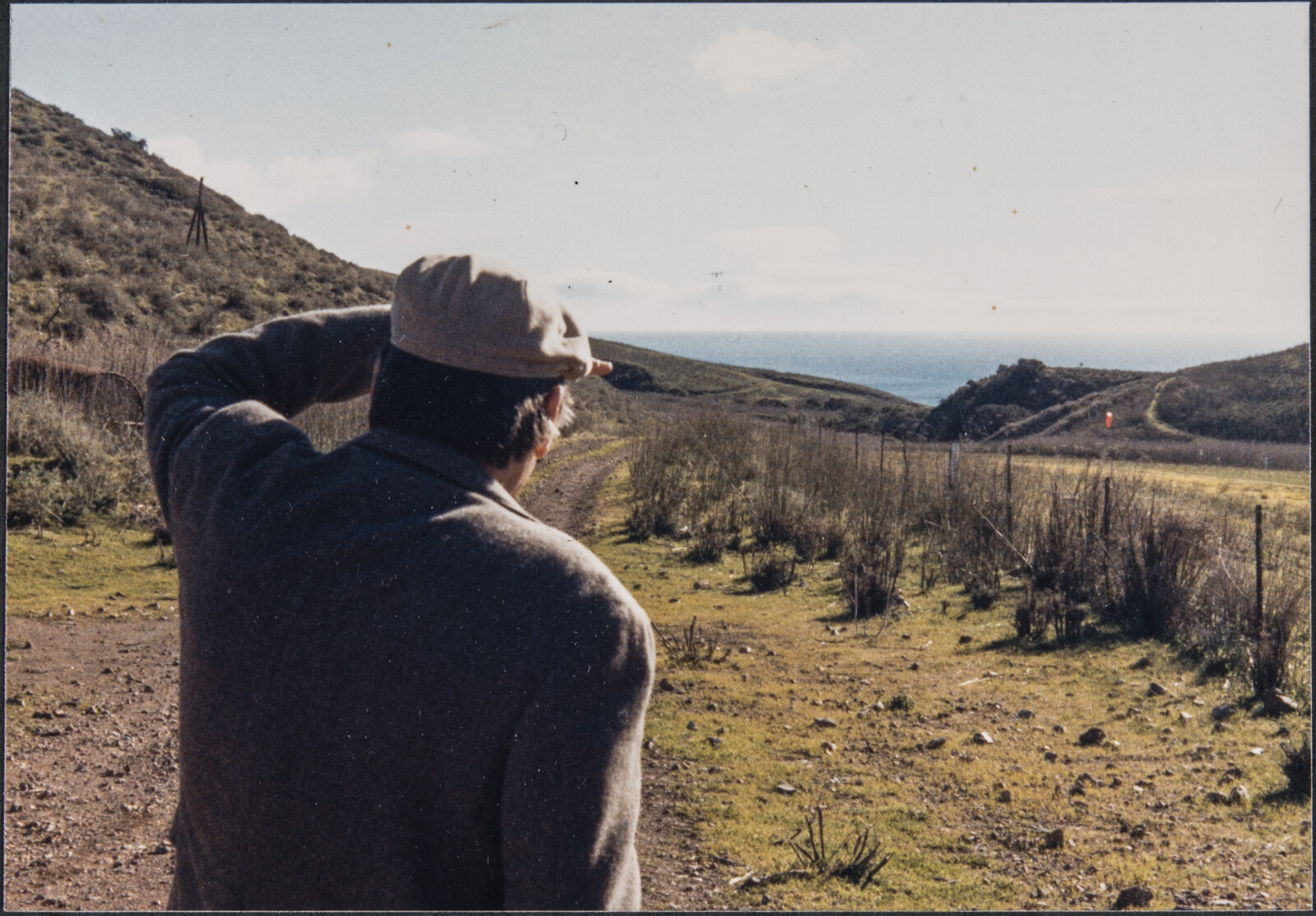 Santa Cruz Island Photographs