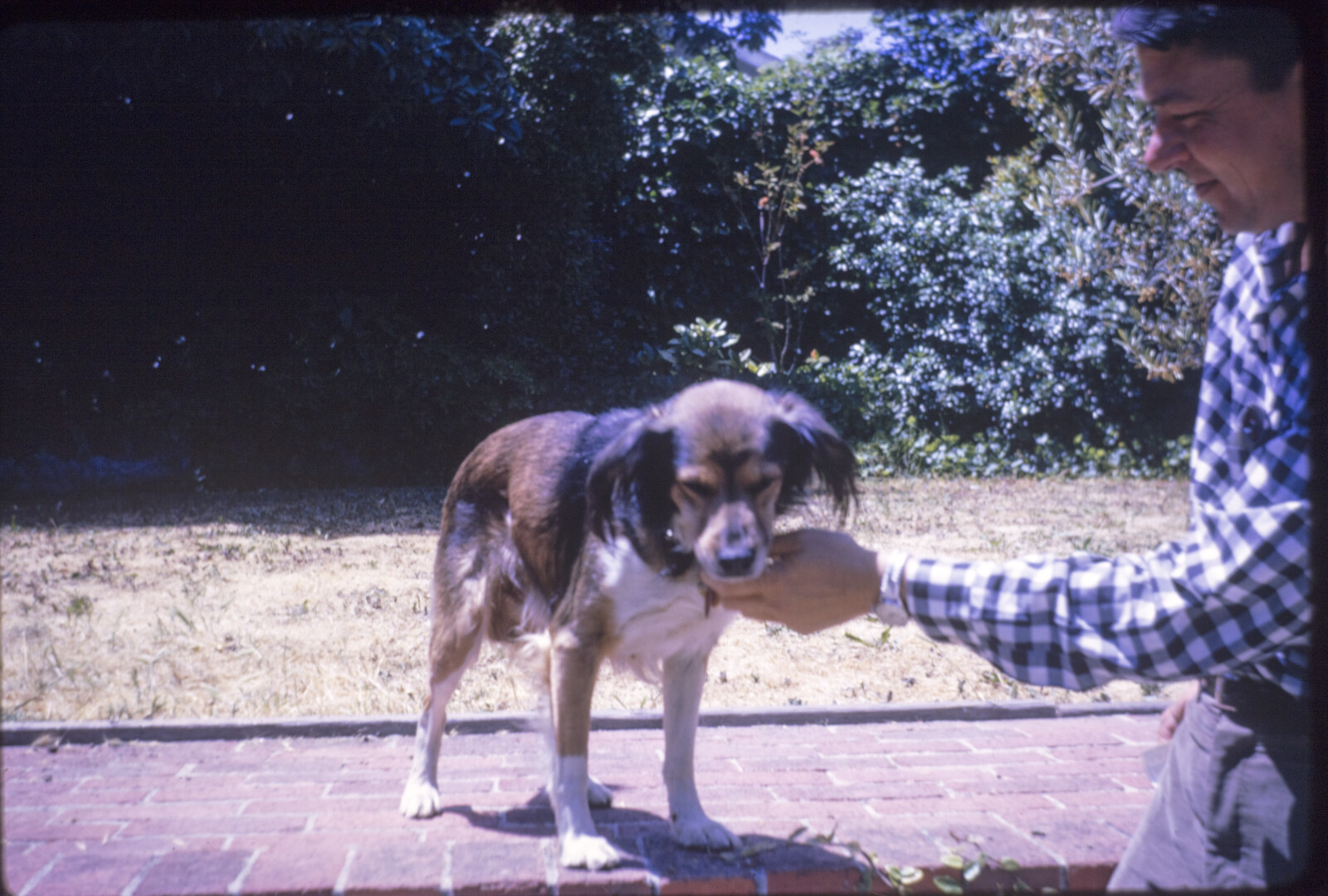 Berkeley Family Photographs