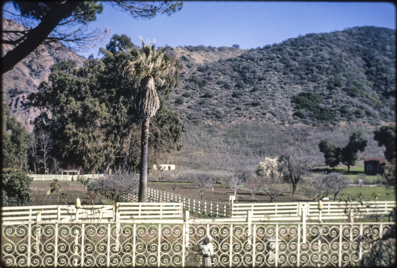 Travel Photographs from California and Missouri