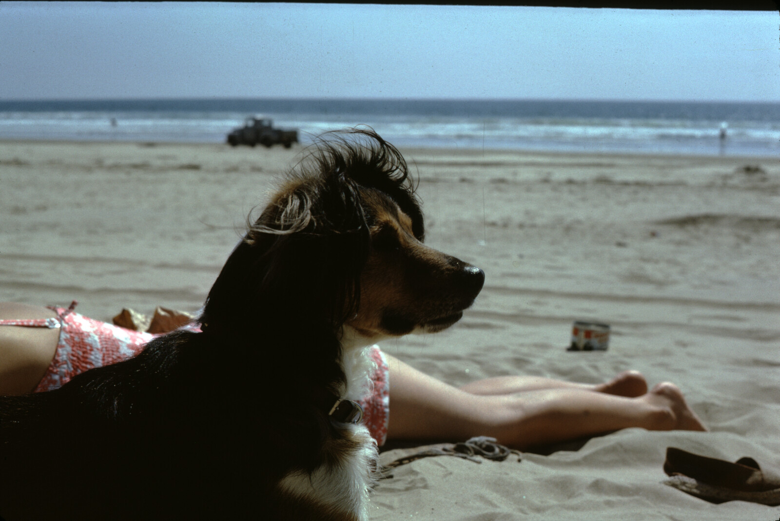 Travel Photograph from La Jolla