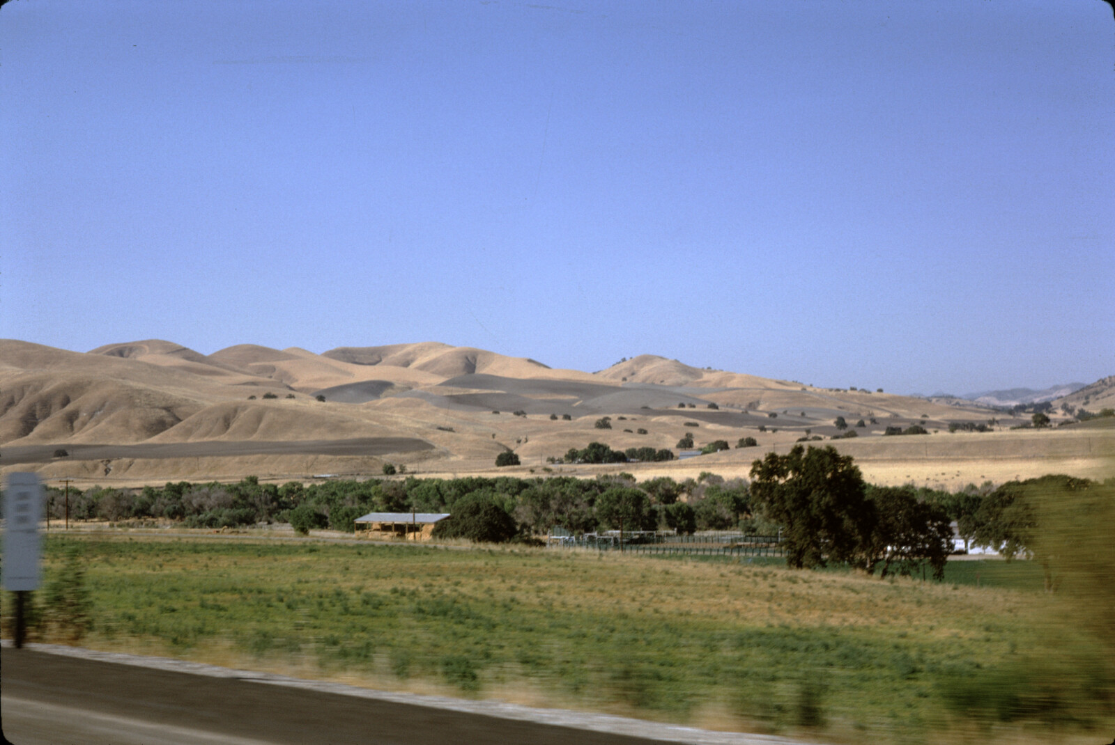 Travel Photograph from La Jolla