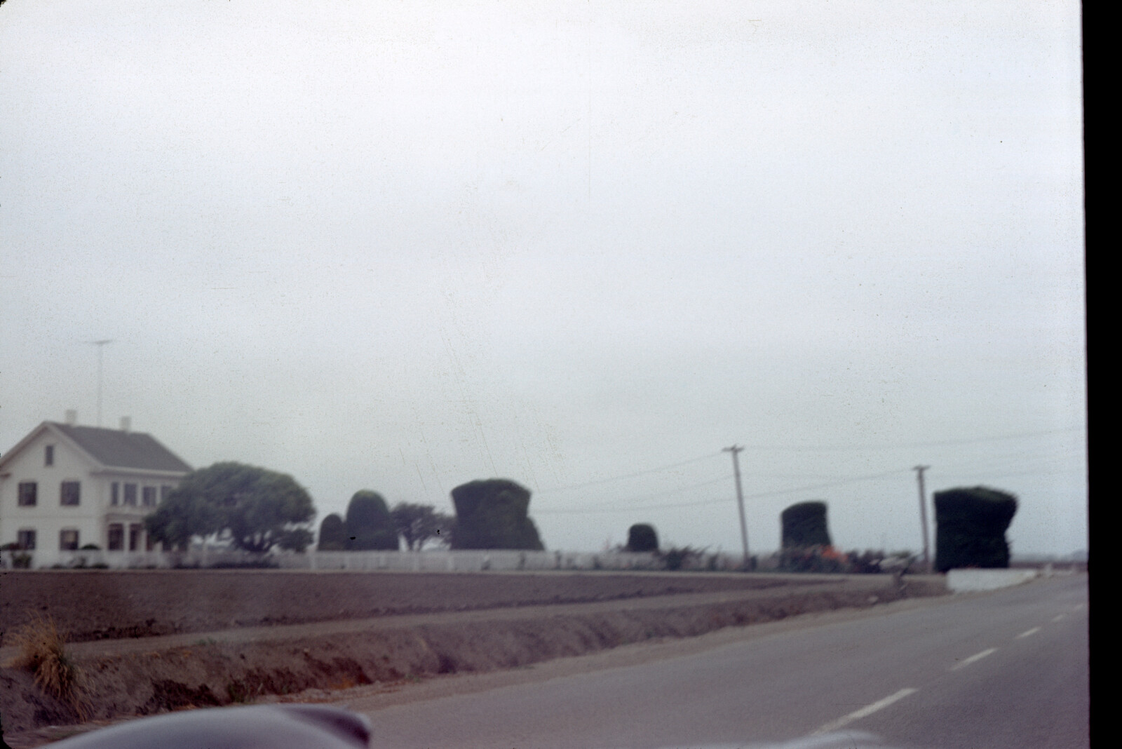 Travel Photograph from La Jolla