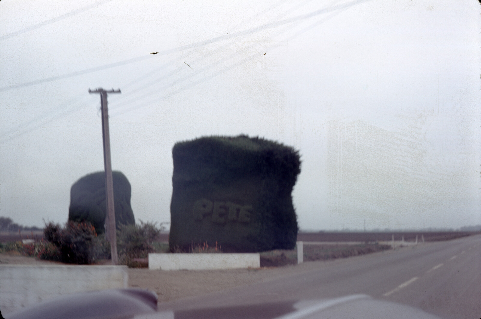 Travel Photograph from La Jolla