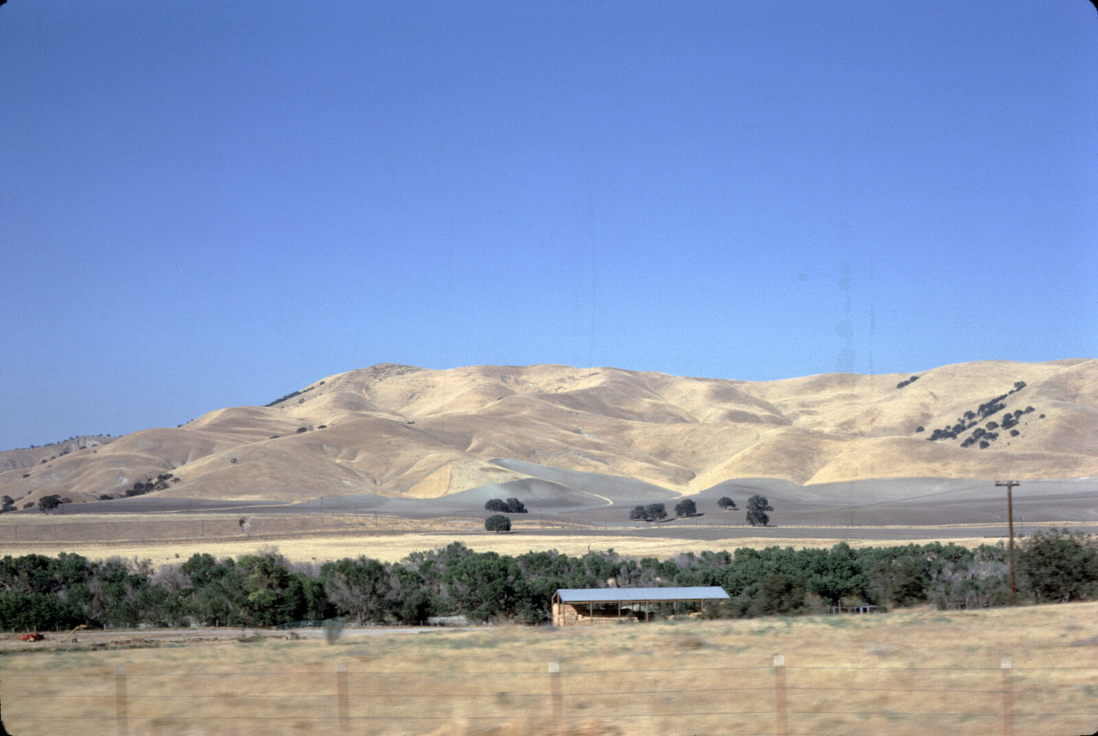 Travel Photograph from La Jolla