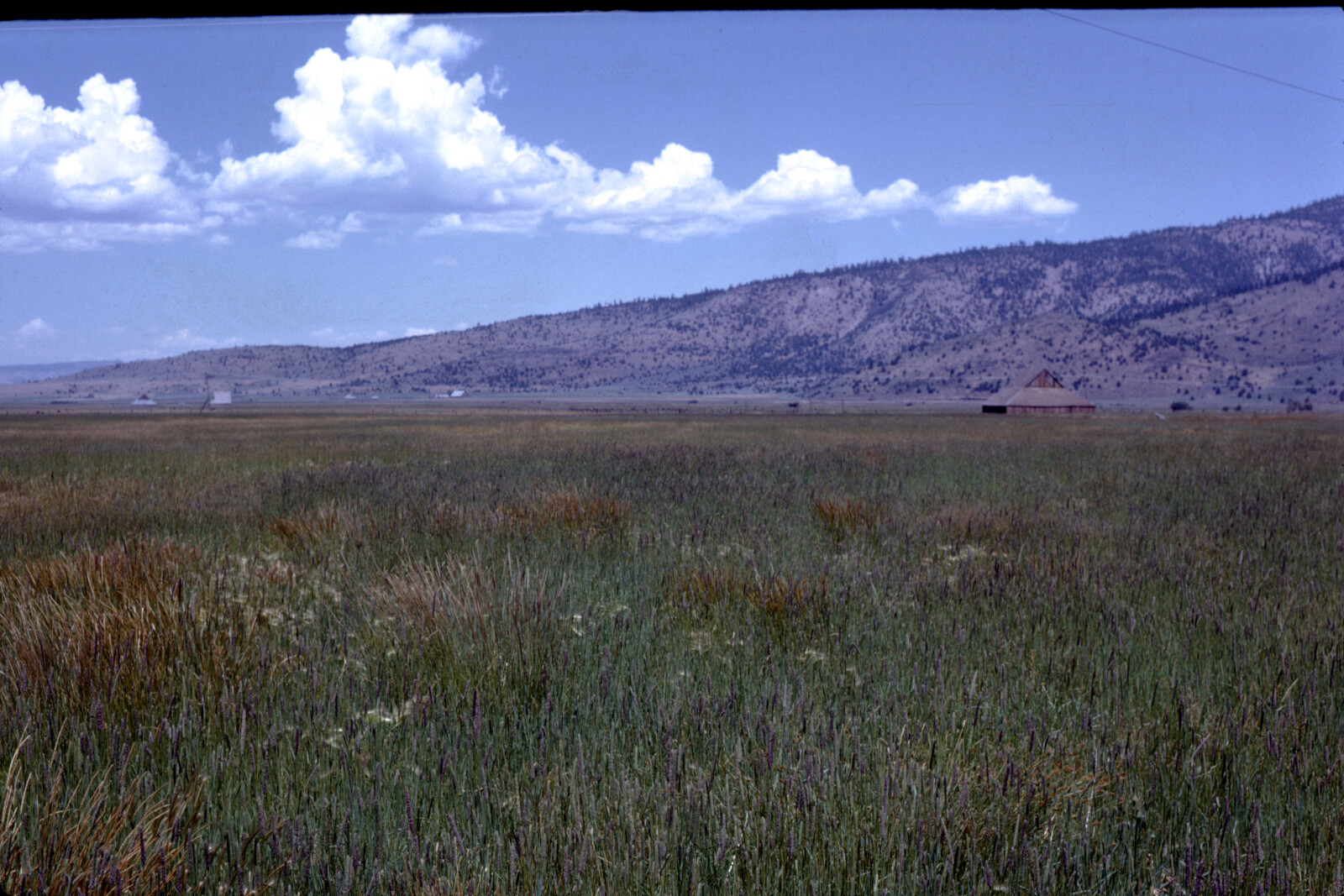 "California Landscape" Photographs