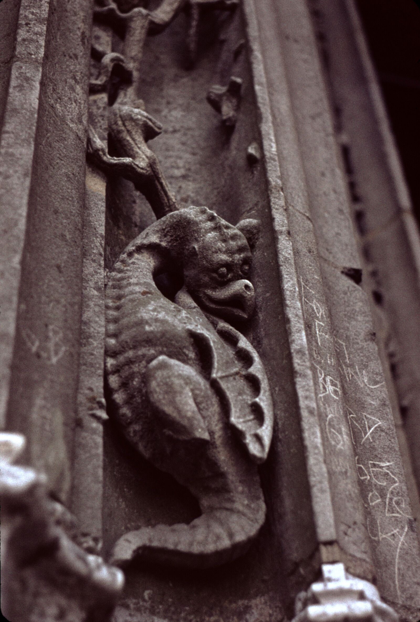 "Chartres Paris 1964" Travel Photographs