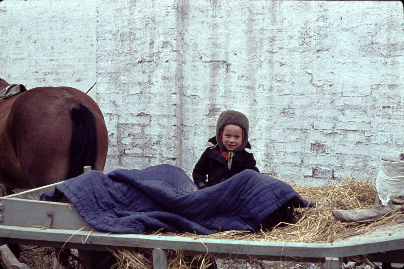 "Vladimir 1964" Travel Photographs