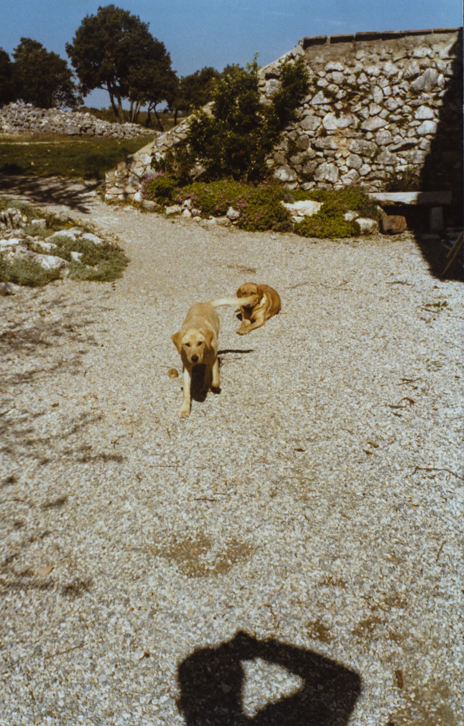 Travel Photographs from France