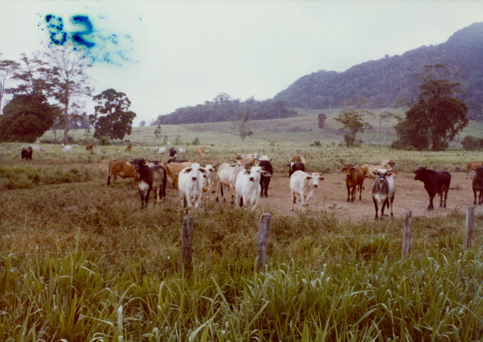 Travel Photographs from Venezuela