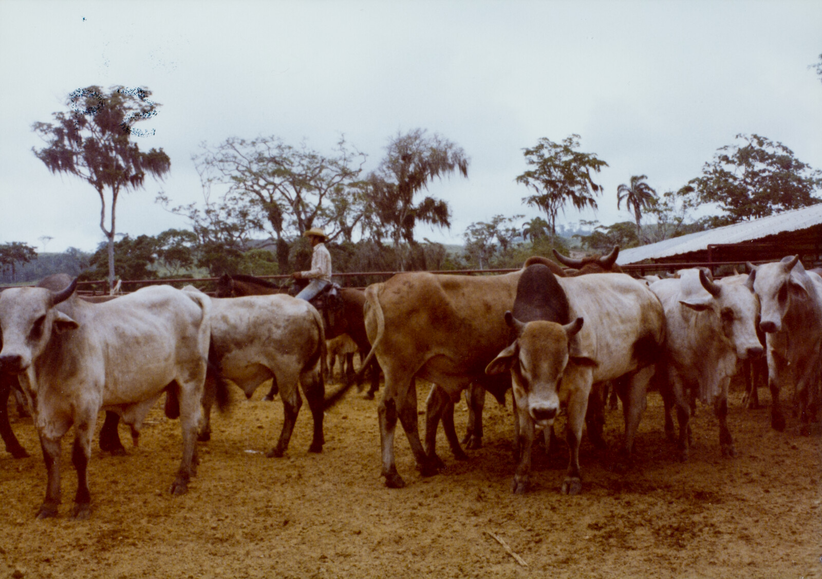 Travel Photographs from Venezuela