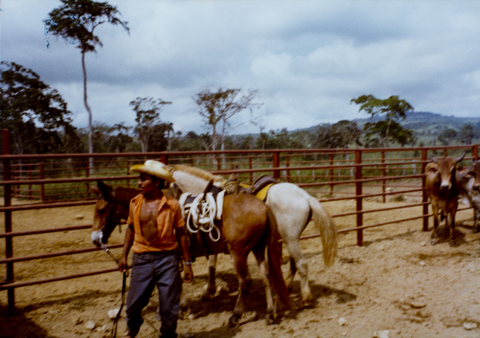 Travel Photographs from Venezuela