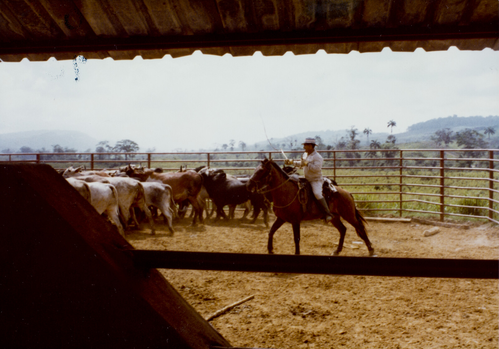 Travel Photographs from Venezuela