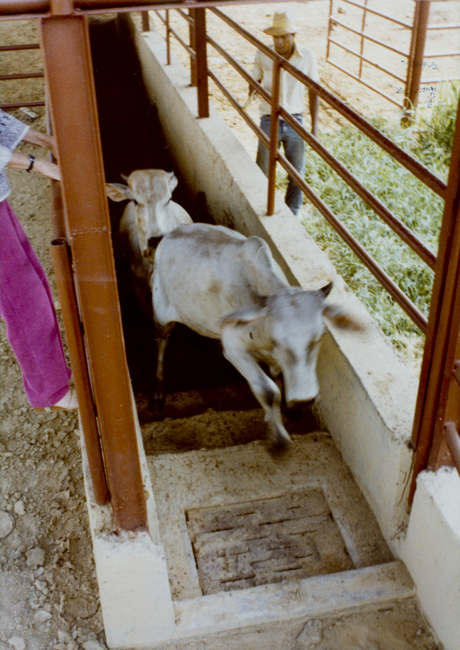 Travel Photographs from Venezuela