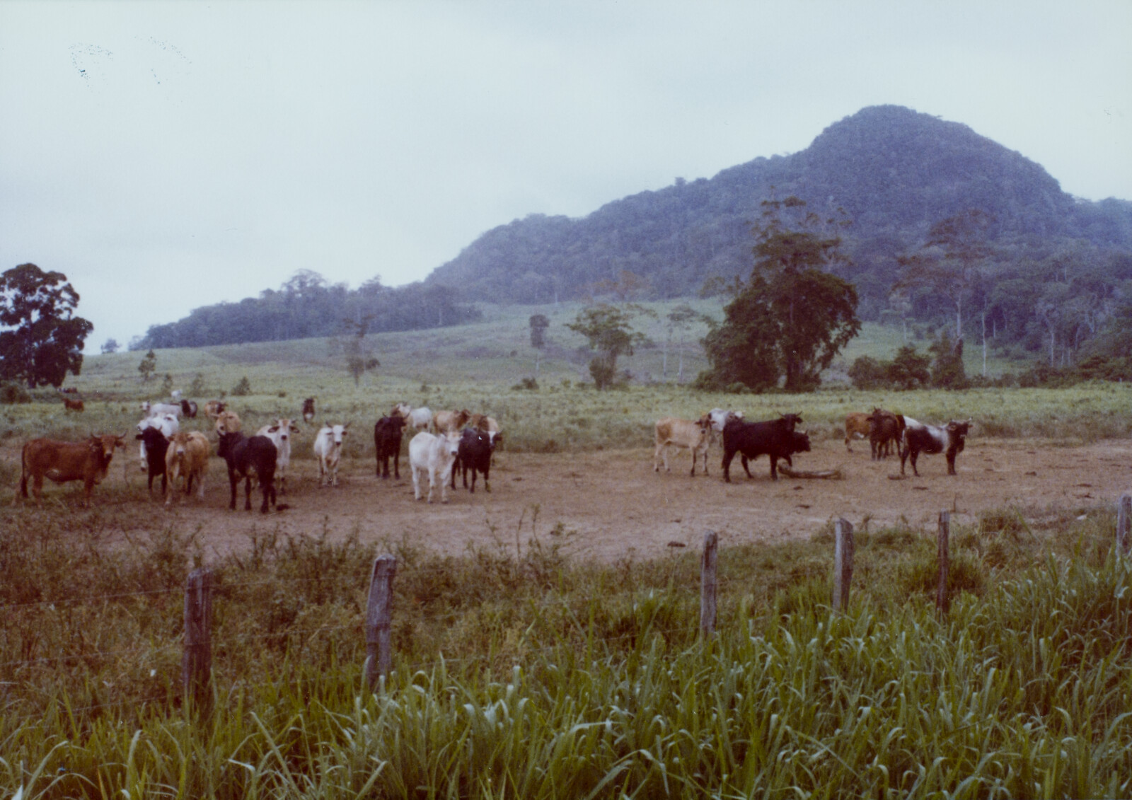 Travel Photographs from Venezuela