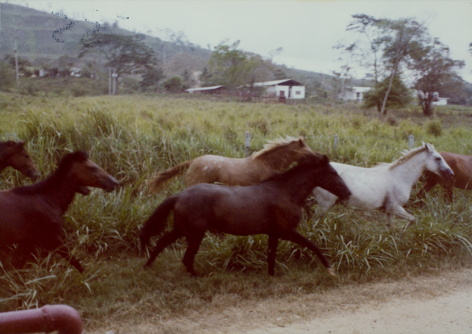 Travel Photographs from Venezuela