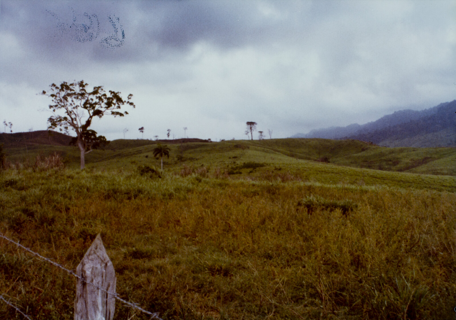 Travel Photographs from Venezuela