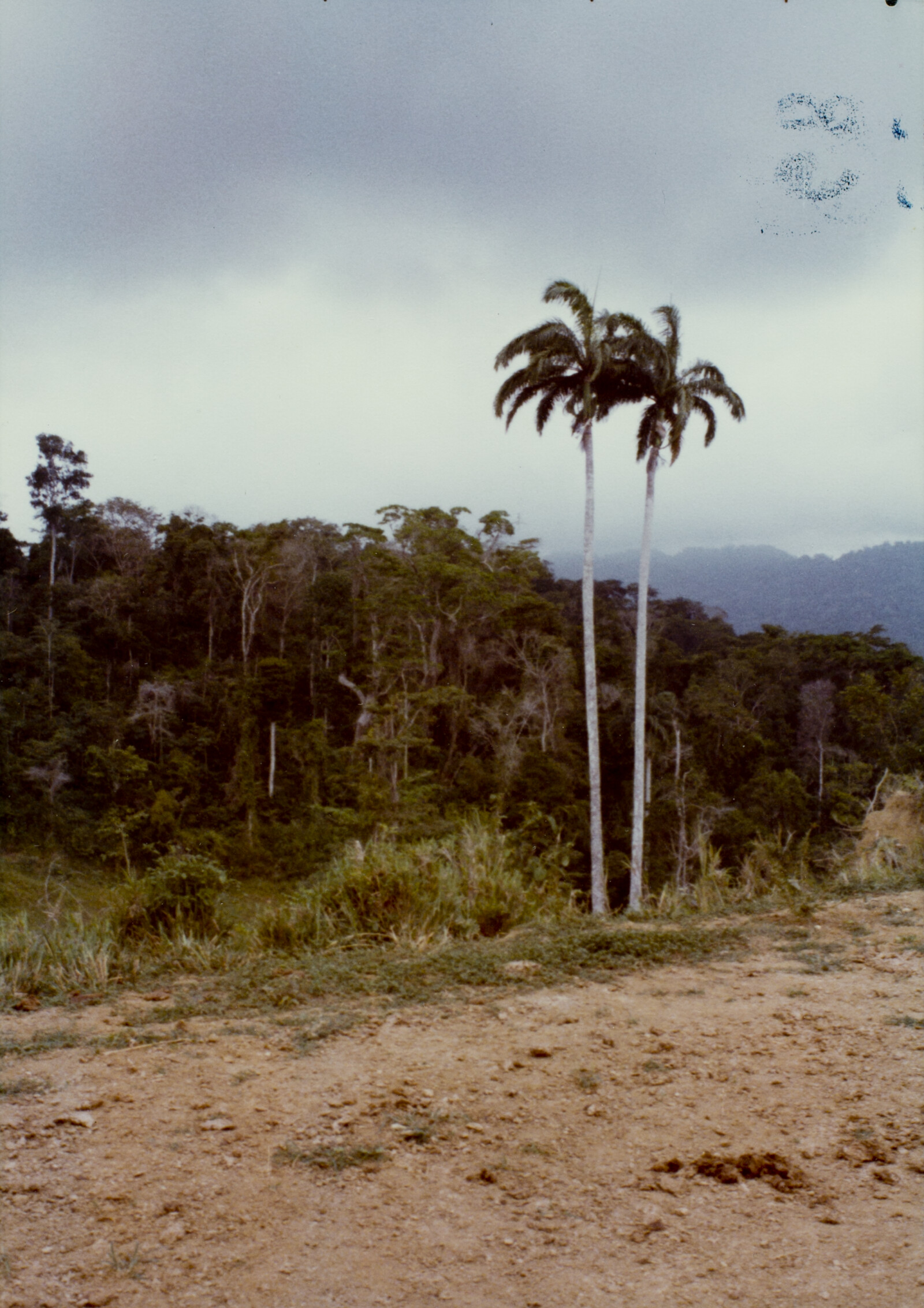 Travel Photographs from Venezuela